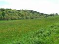 wiosna 2008_28